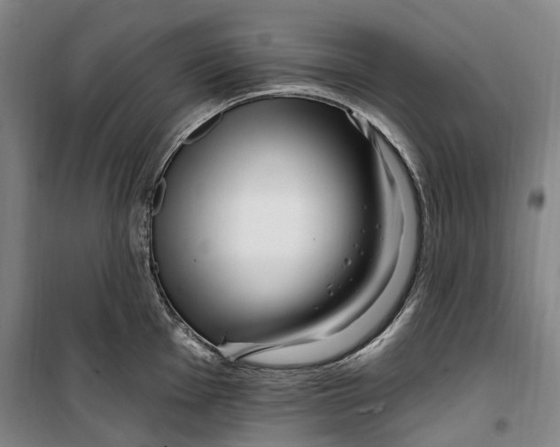 X0000099581001200806061622