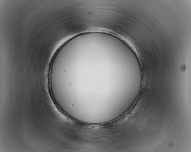 X0000099581003200806061622