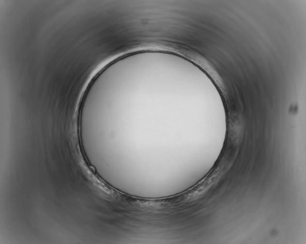 X0000099581004200806061622