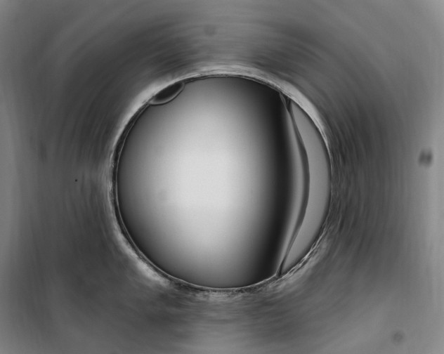 X0000099581005200806061622