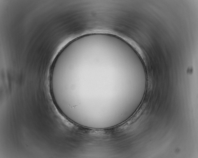 X0000099581006200806061622