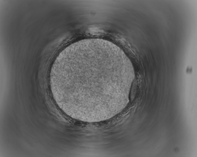 X0000099581009200806061622