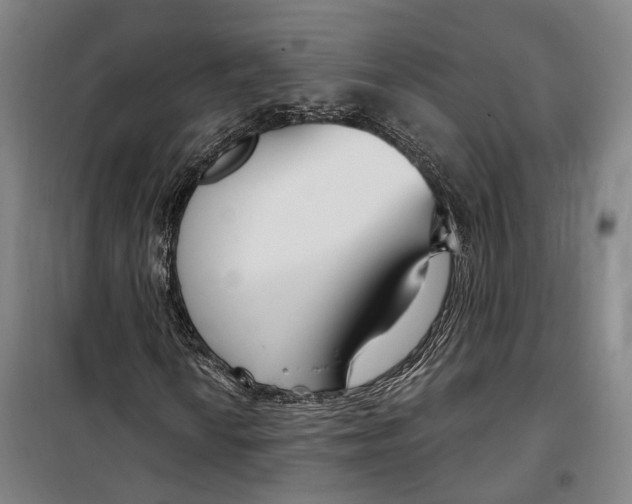 X0000099581010200806061622