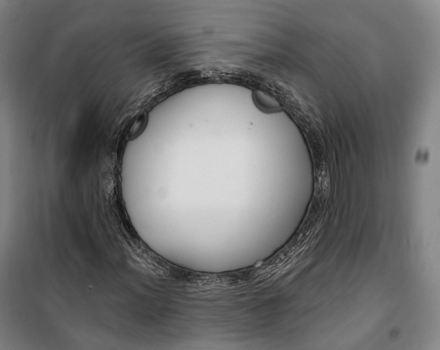 X0000099581012200806061622