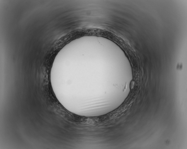 X0000099581013200806061622