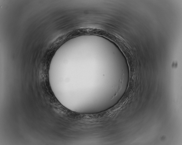 X0000099581014200806061622