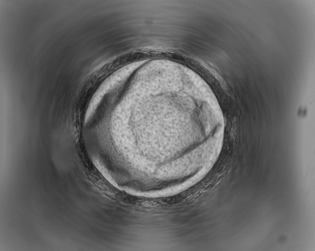 X0000099581015200806061622