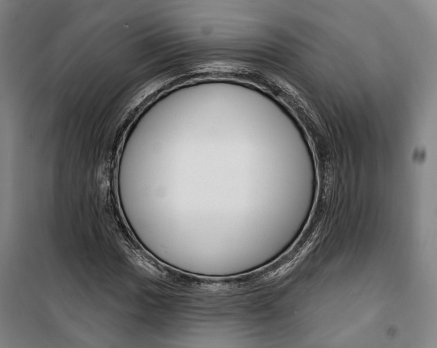 X0000099581017200806061622