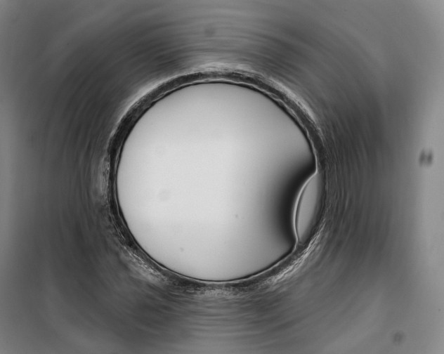 X0000099581021200806061622