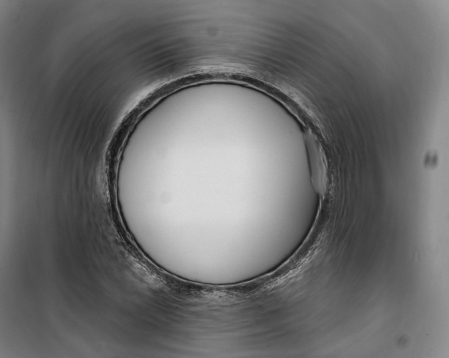 X0000099581022200806061622