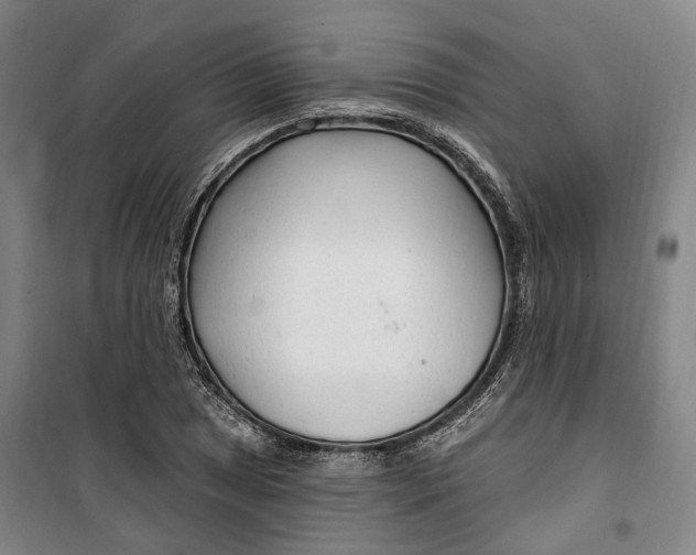 X0000099581025200806061622