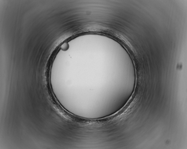 X0000099581026200806061622