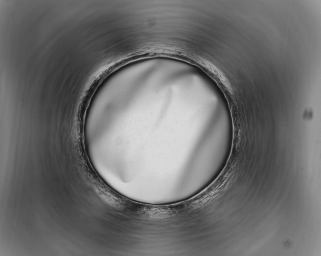 X0000099581027200806061622