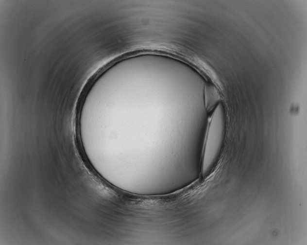 X0000099581028200806061622