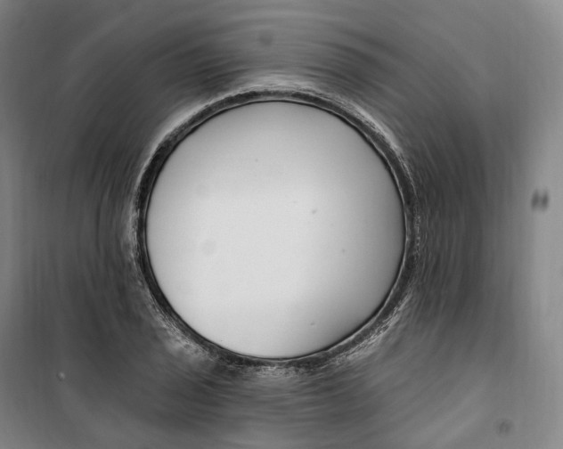 X0000099581029200806061622