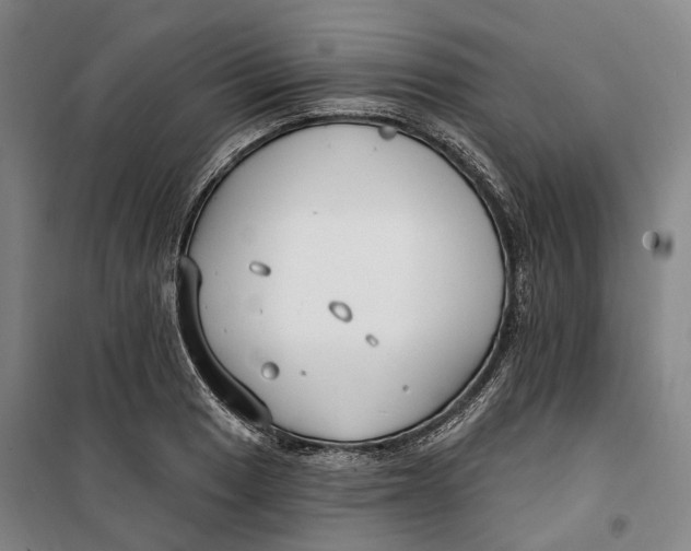 X0000099581033200806061622