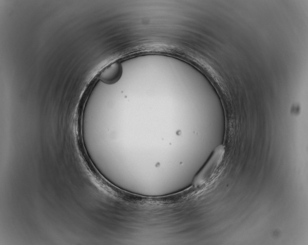 X0000099581034200806061622