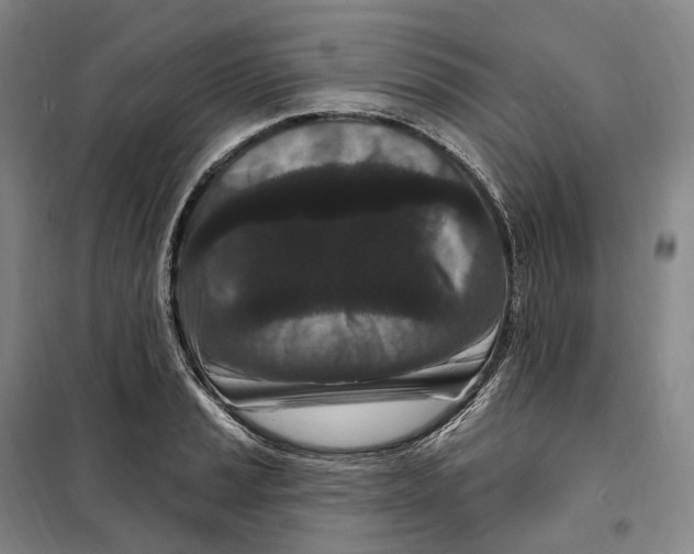 X0000099581037200806061622