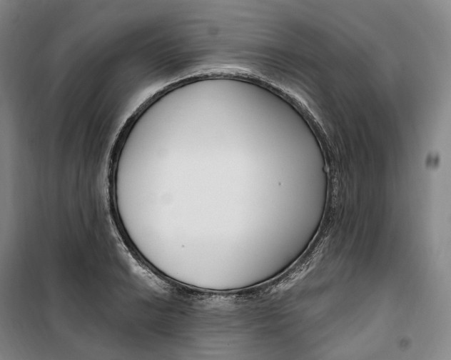 X0000099581038200806061622