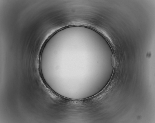 X0000099581040200806061622