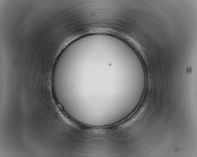 X0000099581041200806061622