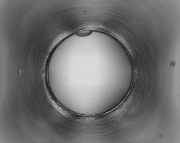 X0000099581042200806061622