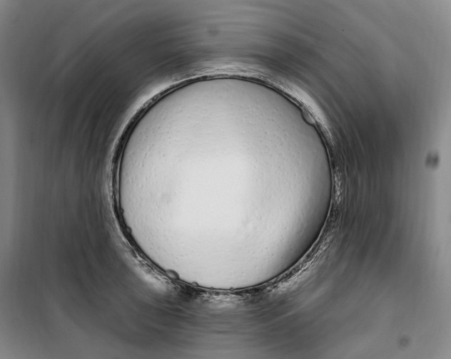 X0000099581043200806061622