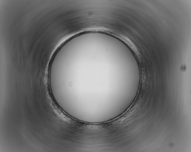 X0000099581044200806061622