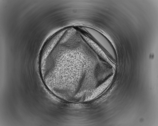 X0000099581045200806061622