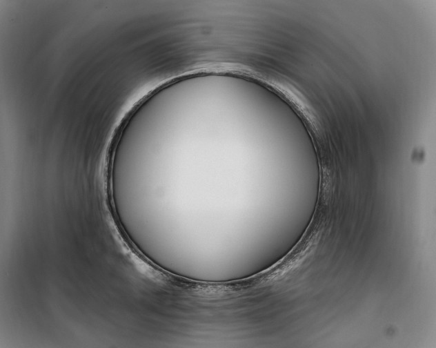 X0000099581046200806061622