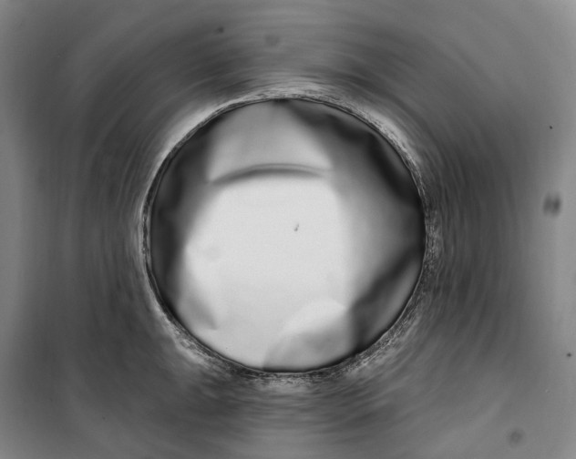 X0000099581047200806061622