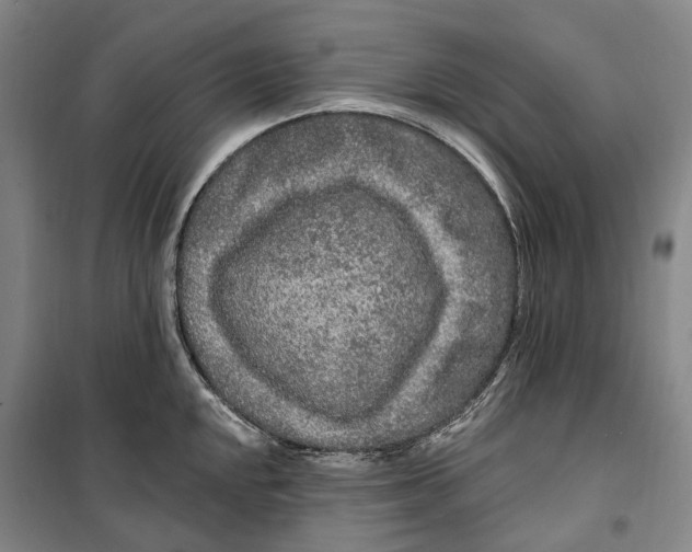 X0000099581048200806061622