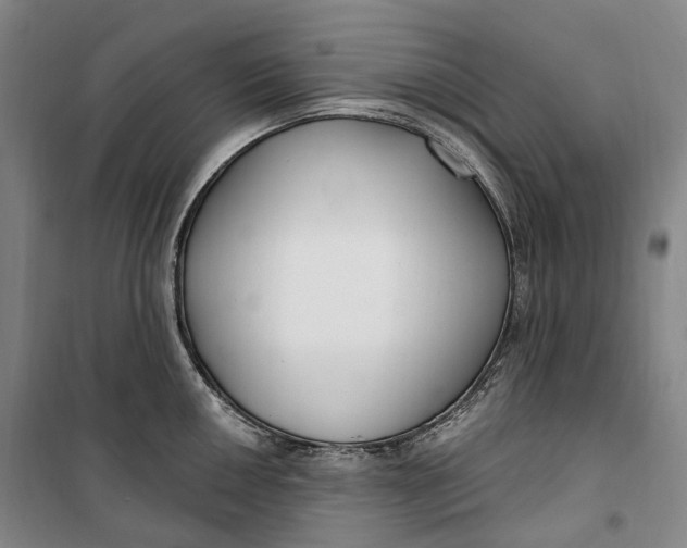 X0000099581050200806061622