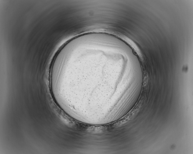 X0000099581051200806061622