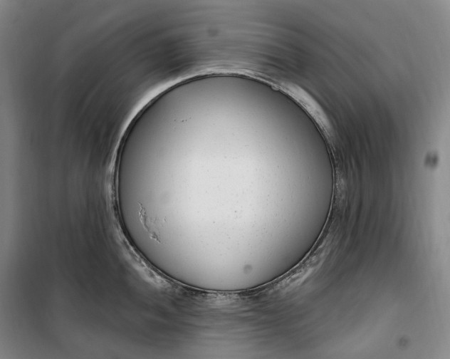 X0000099581052200806061622