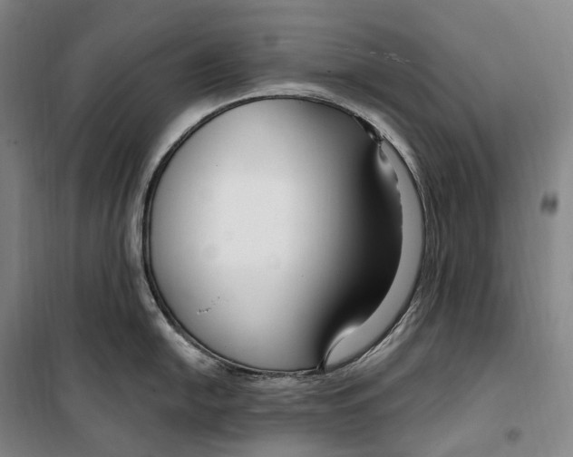 X0000099581054200806061622