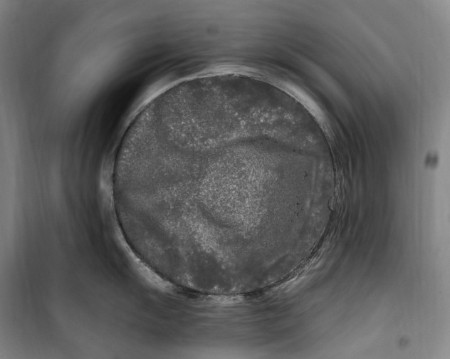 X0000099581055200806061622