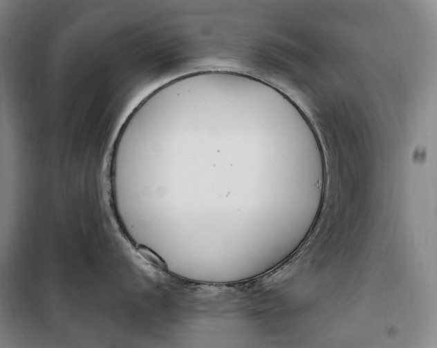 X0000099581056200806061622