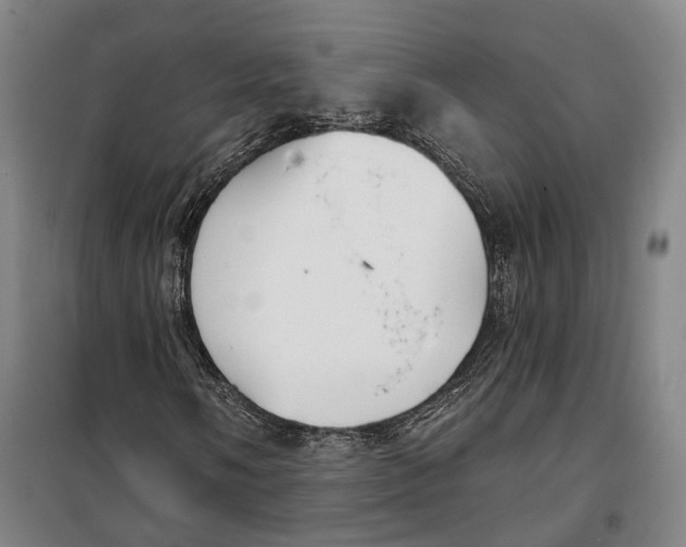 X0000099581058200806061621