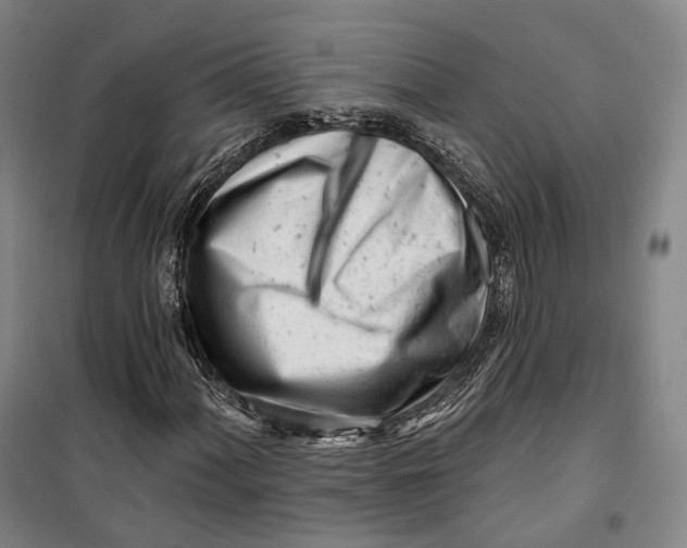 X0000099581060200806061621