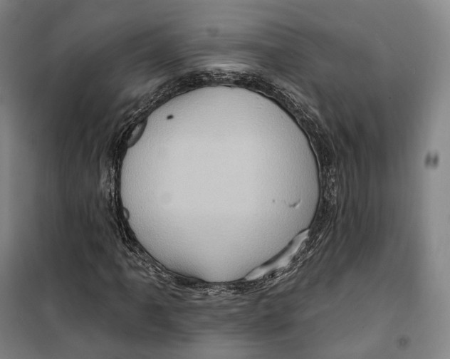 X0000099581061200806061621