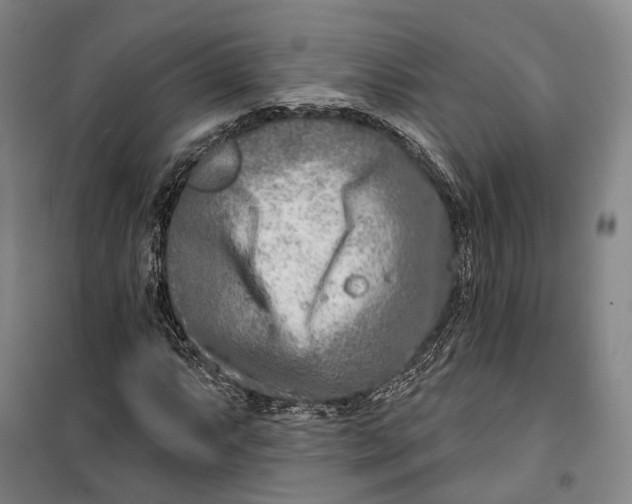 X0000099581063200806061621