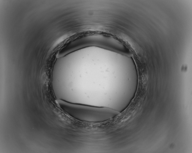 X0000099581064200806061621