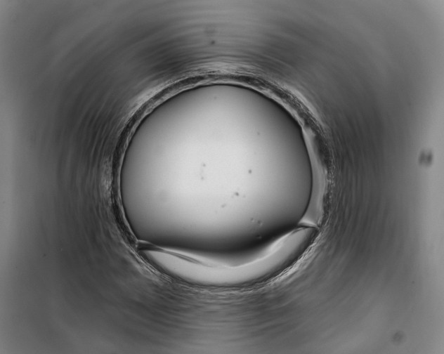 X0000099581065200806061621