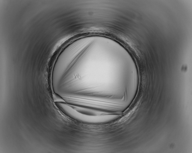 X0000099581066200806061621