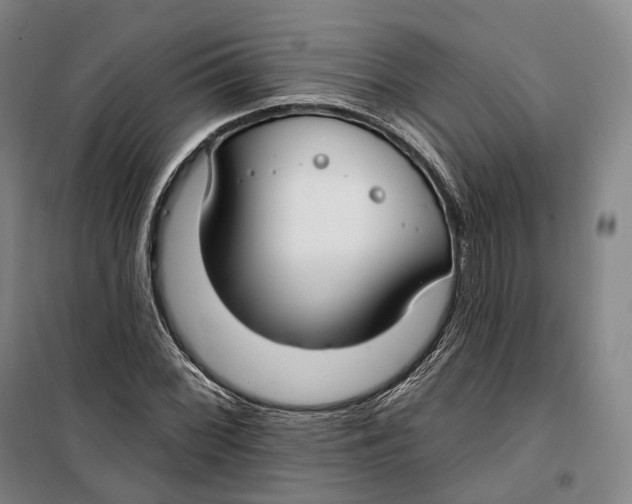 X0000099581068200806061621