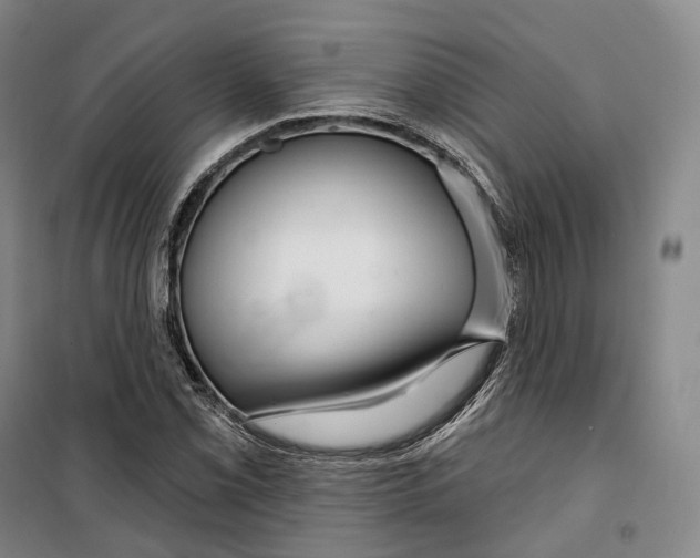 X0000099581069200806061621