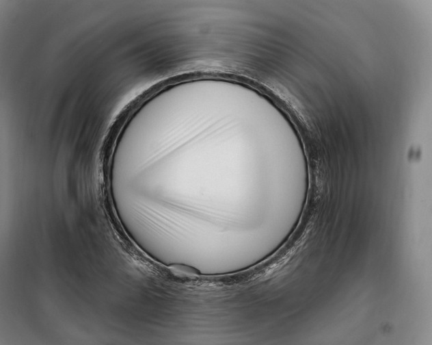 X0000099581070200806061621