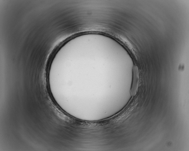 X0000099581072200806061621