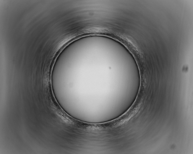 X0000099581073200806061621